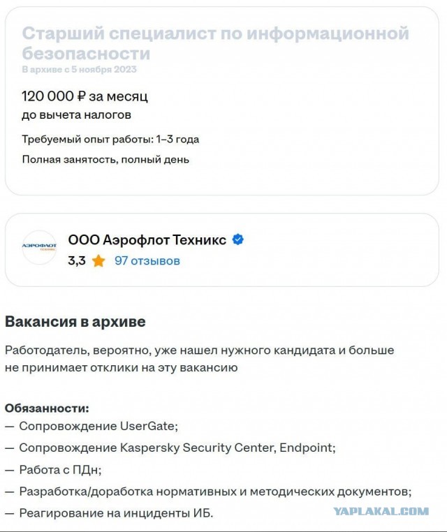 В Шереметьево полный хаос