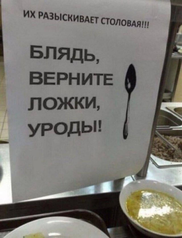 Картинки для деградации 10 (разной степени свежести)