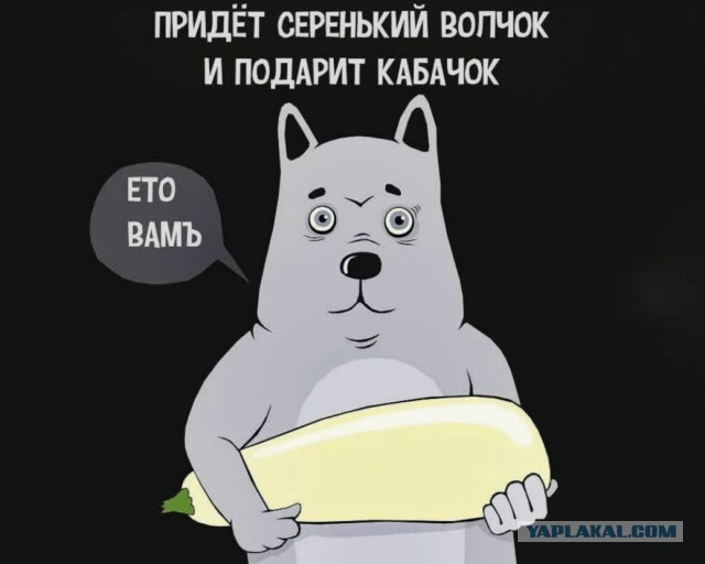Мне пока тоже кабачка никто не дал