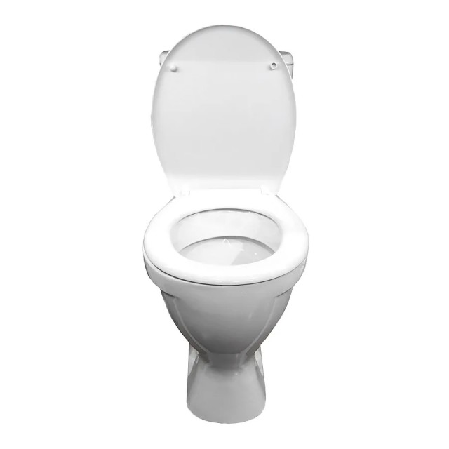 В московской квартире женщина родила сына и выбросила его в унитаз