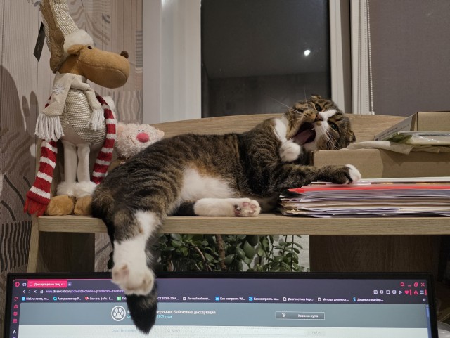 Котаняны