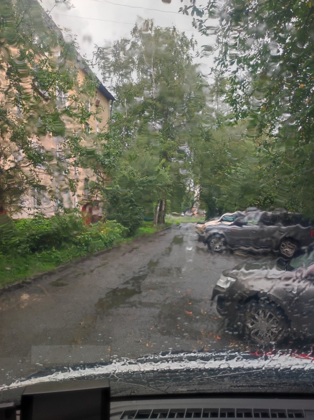 Мой бедный друг, из глубины твоей души Стучит копытом сердце Петербурга