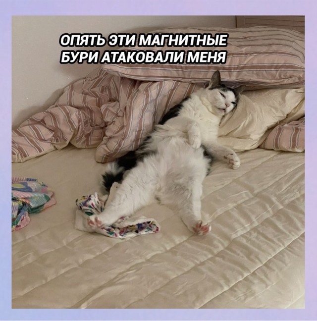 Картинки для деградации 56 (разной степени свежести)