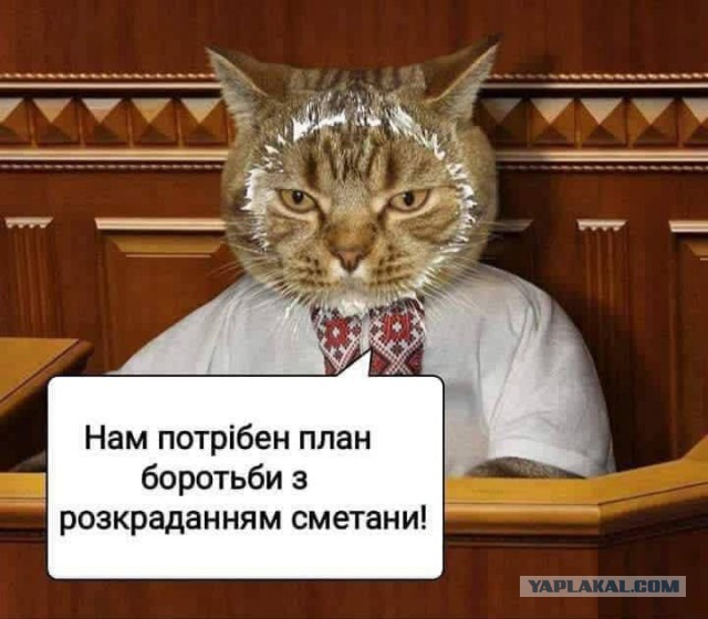 Военные доложили Путину об окружении украинских войск в Купянске и Покровске