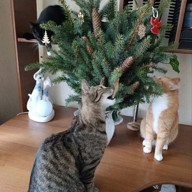 Время пришло