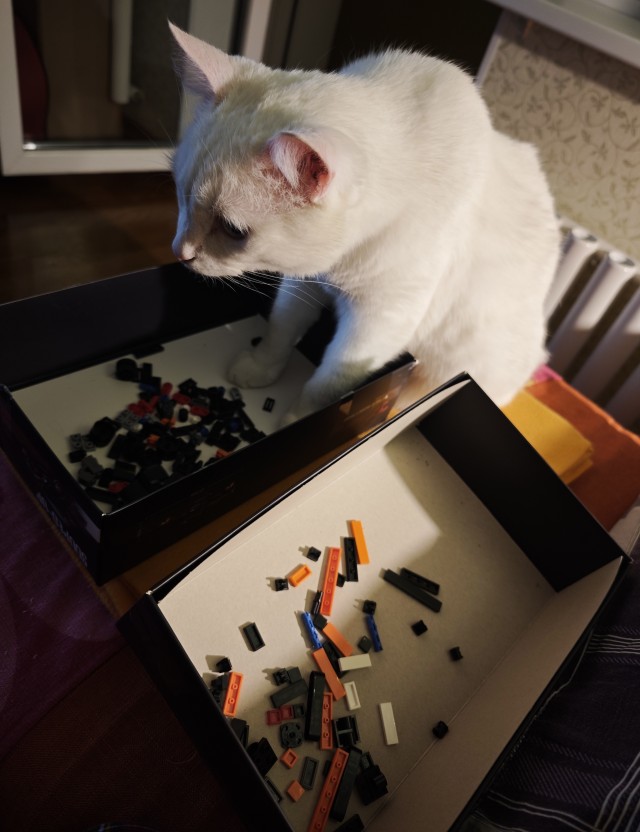 Котокоробковое
