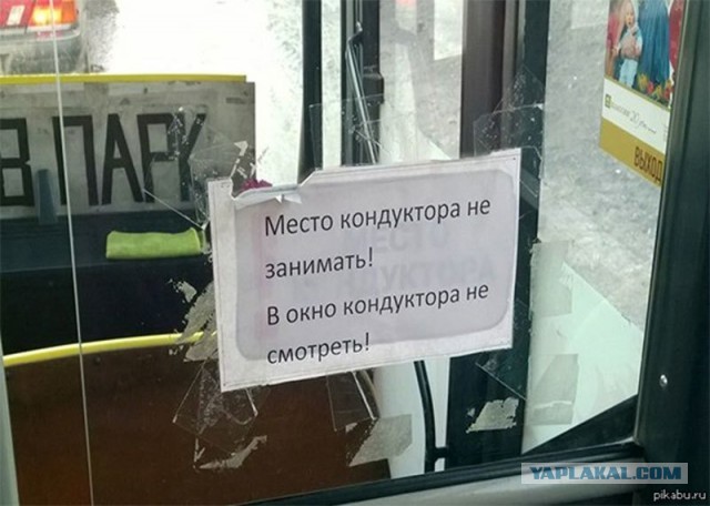 Наше место в заснеженном мире