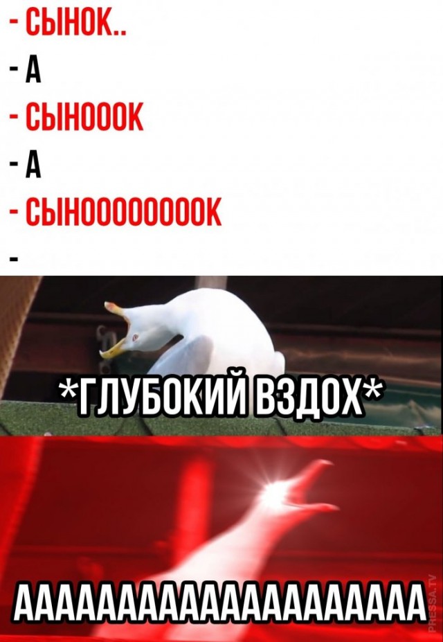 Веселые картинки в пятницу (20.02)