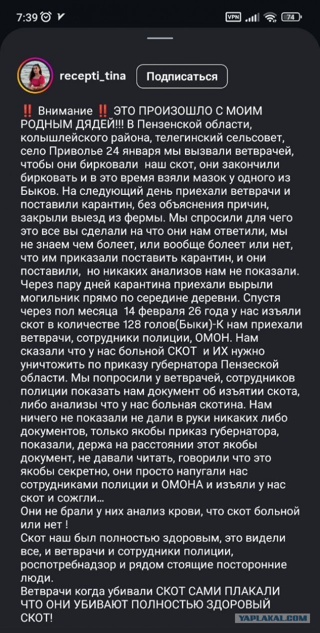 Что-то неладное творится в Новосибирской области