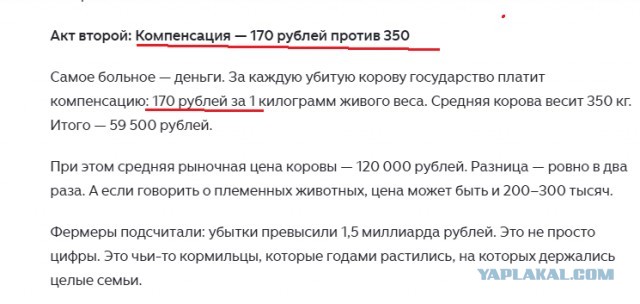 В Новосибирской области 113 семей получили более 40 млн рублей компенсации за изъятый скот при локализации очагов пастереллеза
