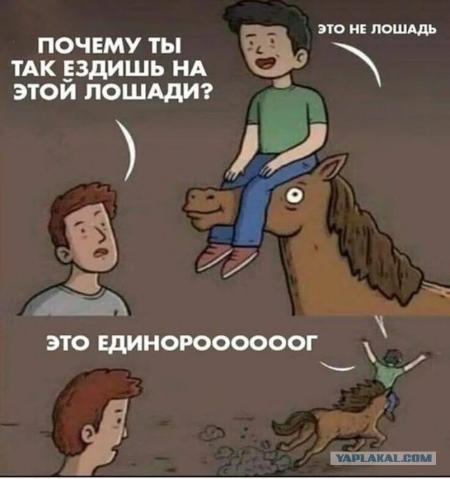 Тореадор получил тяжёлое ранение в ягодицу во время корриды в Севилье