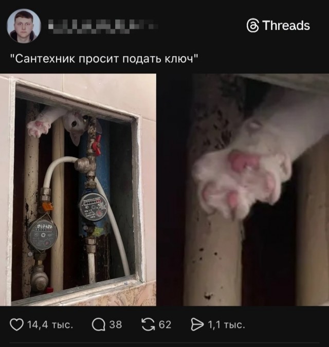 Так себе картинки 14.05.26
