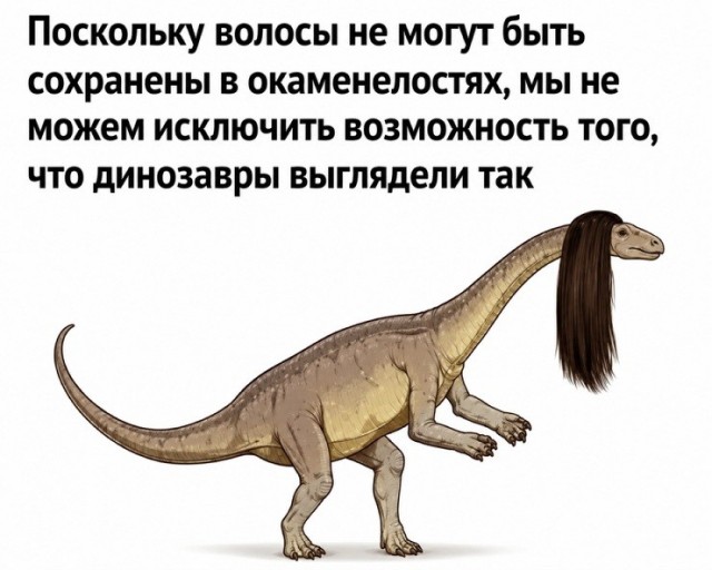 Так себе картинки 05.07.26