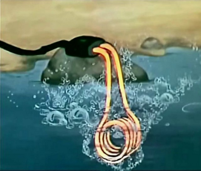 Какой водонагреватель лучше?