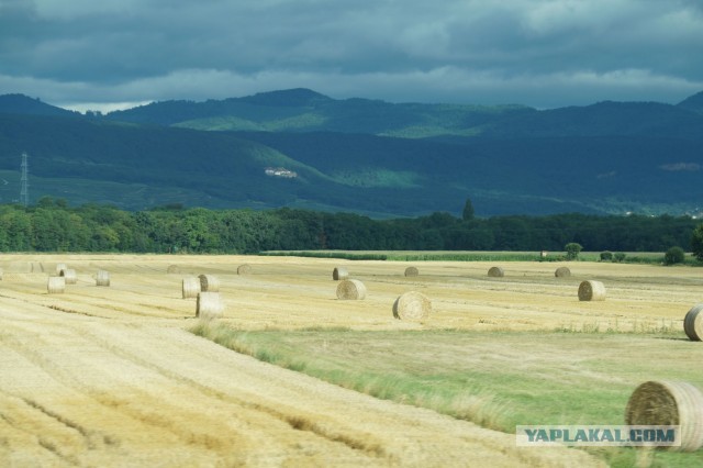 Поездка в Швейцарию
