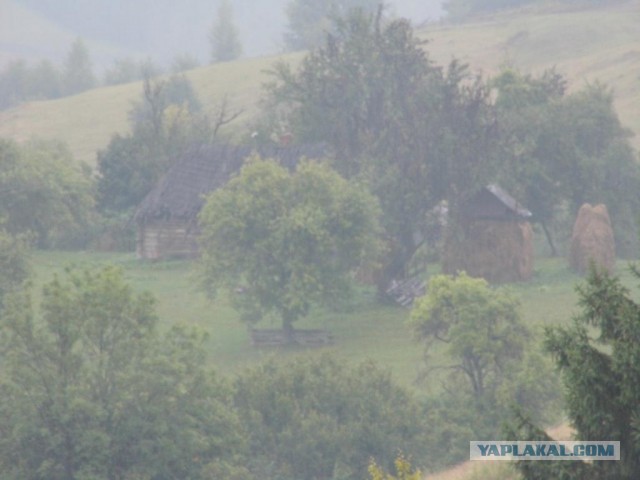 В Карпатах