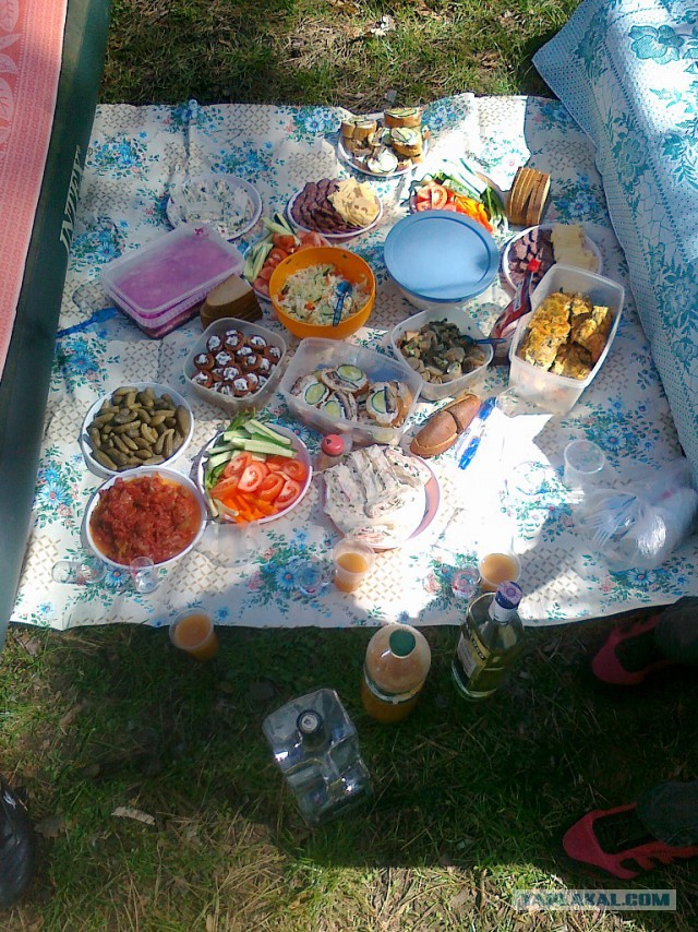 Сезон открыт!