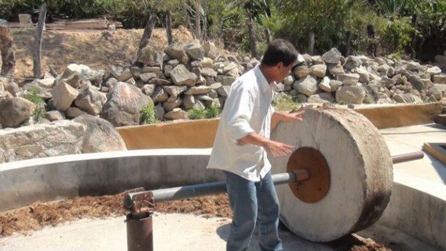 Как делают настоящую текилу