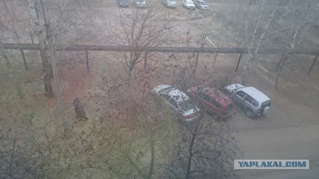 Вот где беспредел (с)
