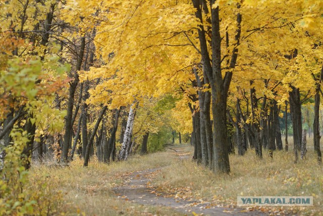Ты воронежец, если...
