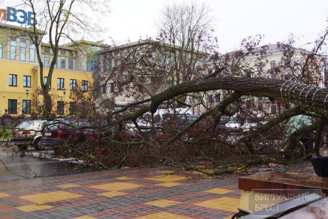 Пару часов назад в Бресте