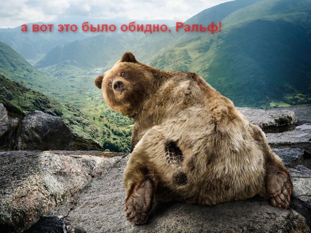 Встретил медведя? Не робей.