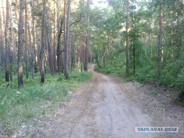 Женская логика