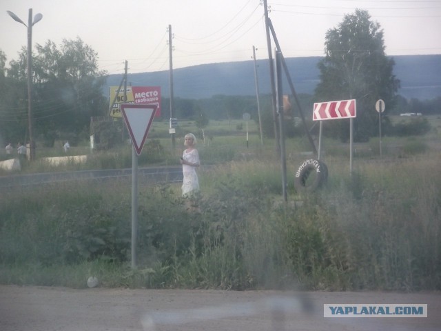 Дорога в 5500 км автостопом на Алтай.