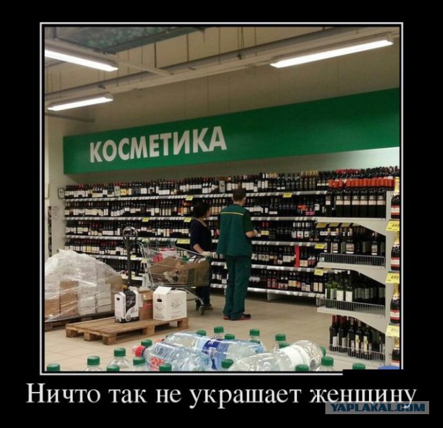 Весёлые картинки