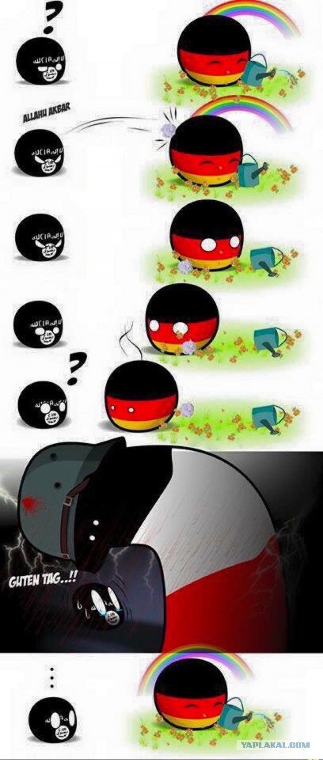 Немецкие политики переходят от слов к делу