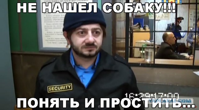 Исчезающая собака