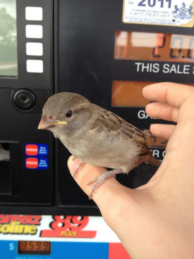 Подборка интересных и веселых фото
