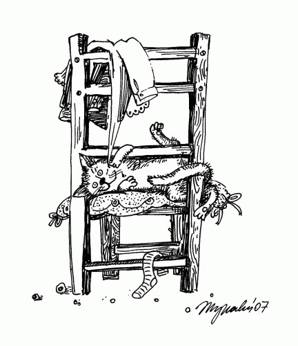 Правила поведения кошек (9 правил)