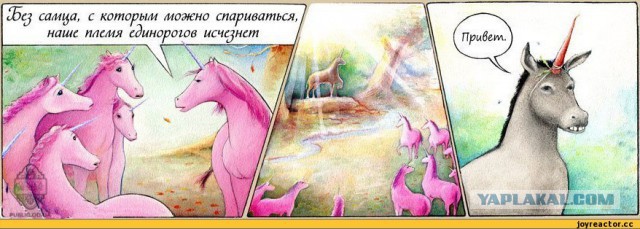 Лошадь испортила свадебную фотосессию американки
