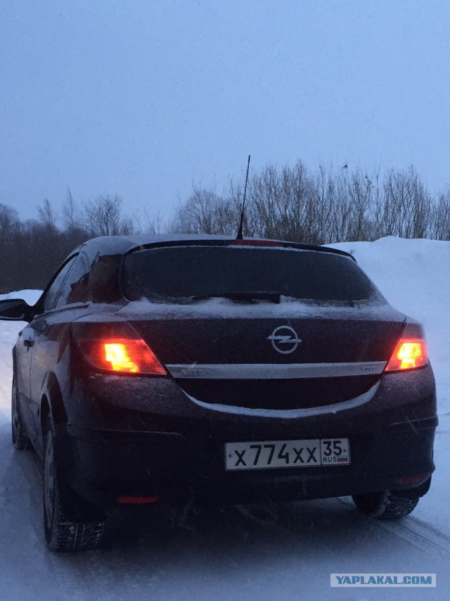 На каких машинах ездят ЯПовцы