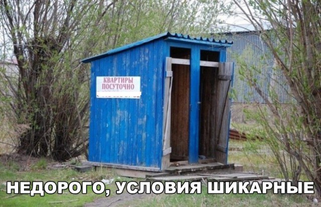 Подборка безудержного веселья