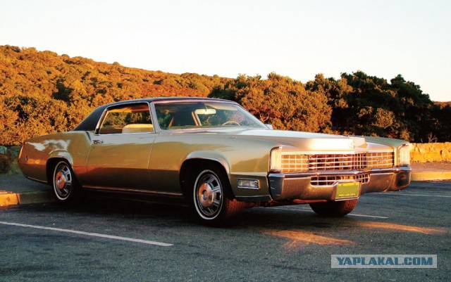Только что увидел Dodge Polara на улице!
