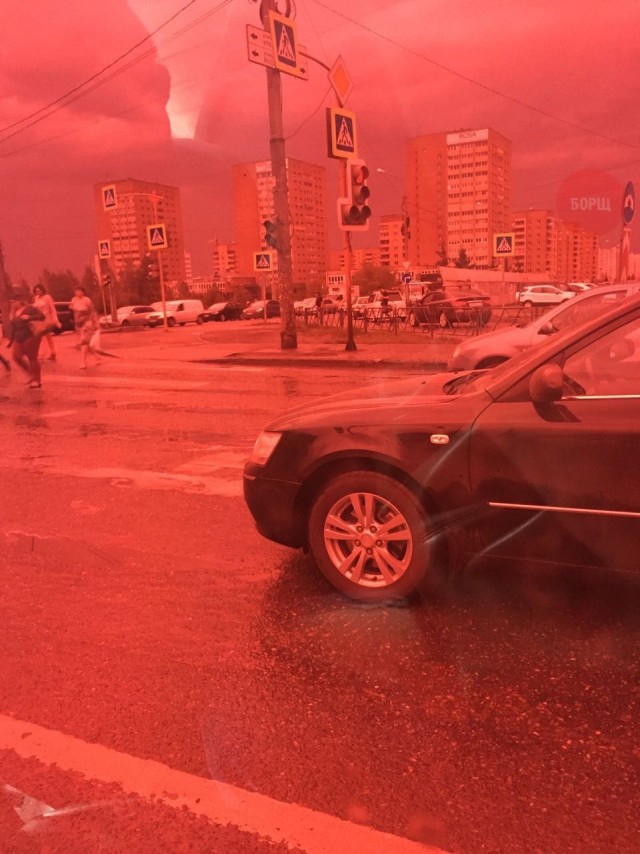 Смешные картинки