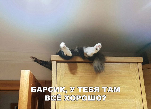 100 картинок для поднятия настроения!