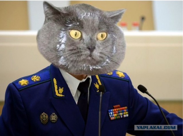 А что, если...