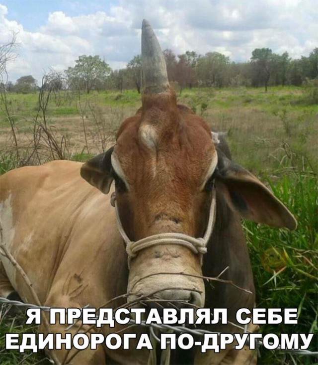 Нестандартный юмор