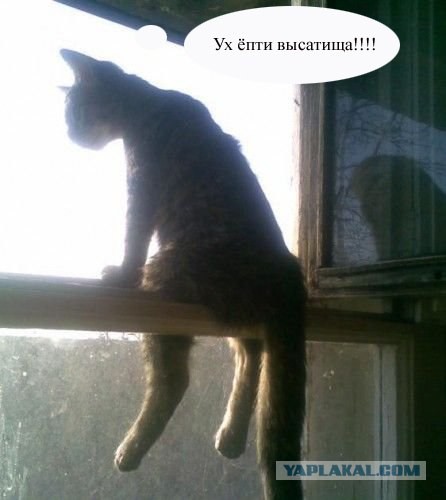 Вот сидит так себе смотрит