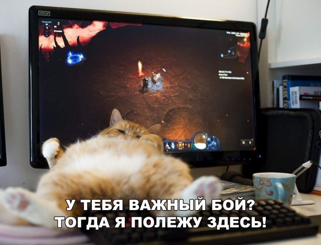 Нестандартный юмор