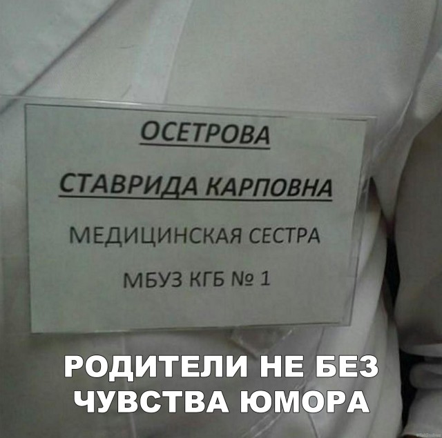 Нестандартный юмор