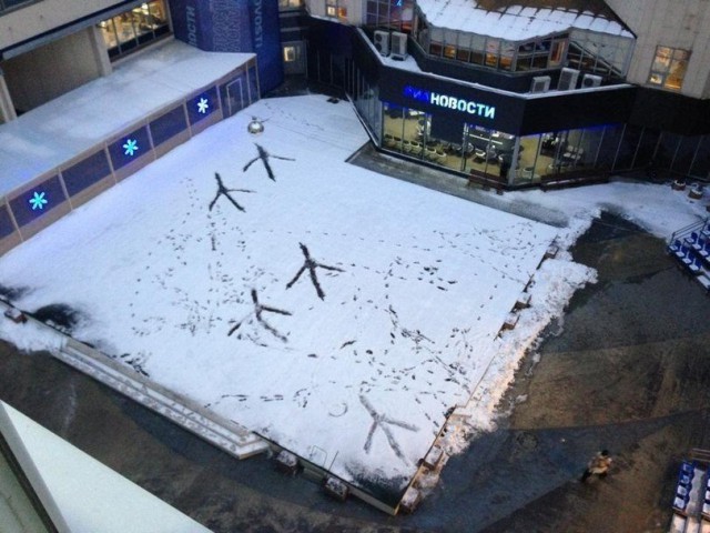 Подборка интересных и веселых картинок 25.10.18