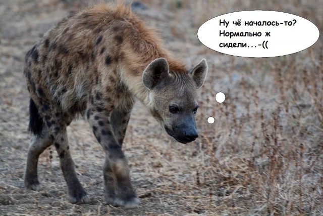 Я, похоже, в рай не попаду теперь?