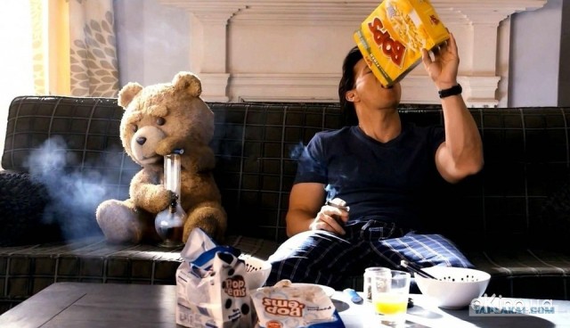 Лучшие друзья навсегда