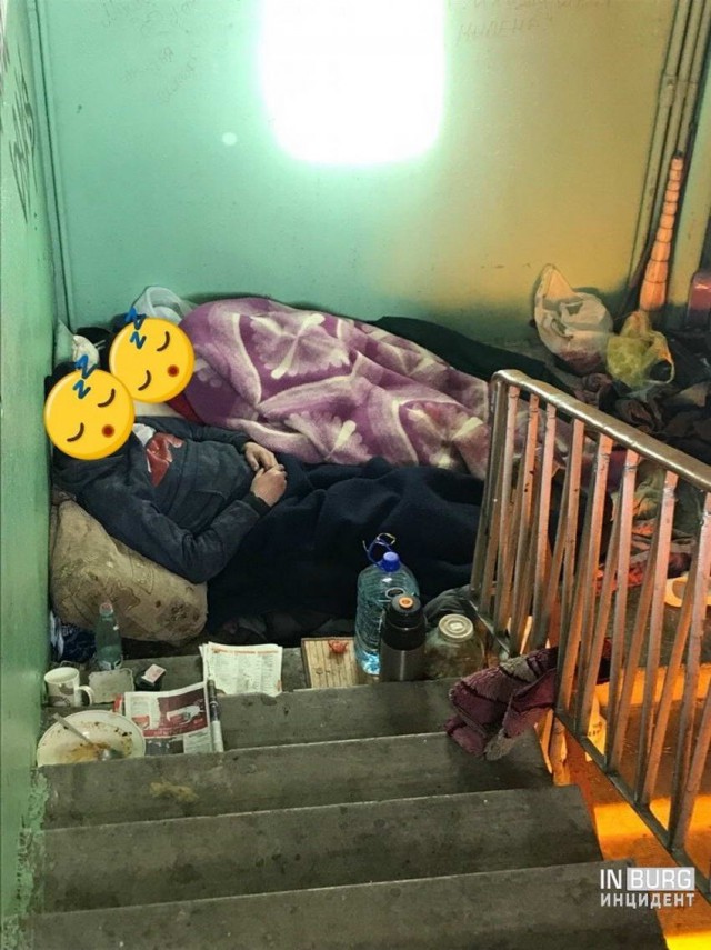 Скотсети и прочие интернеты 28.05.2019