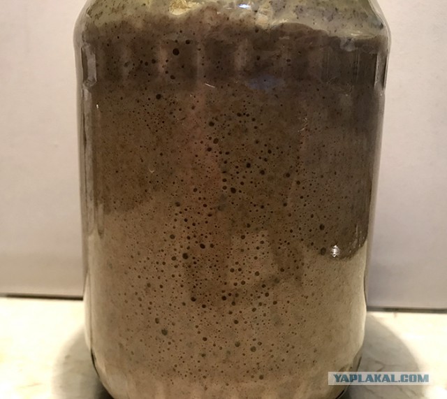 Квас домашний