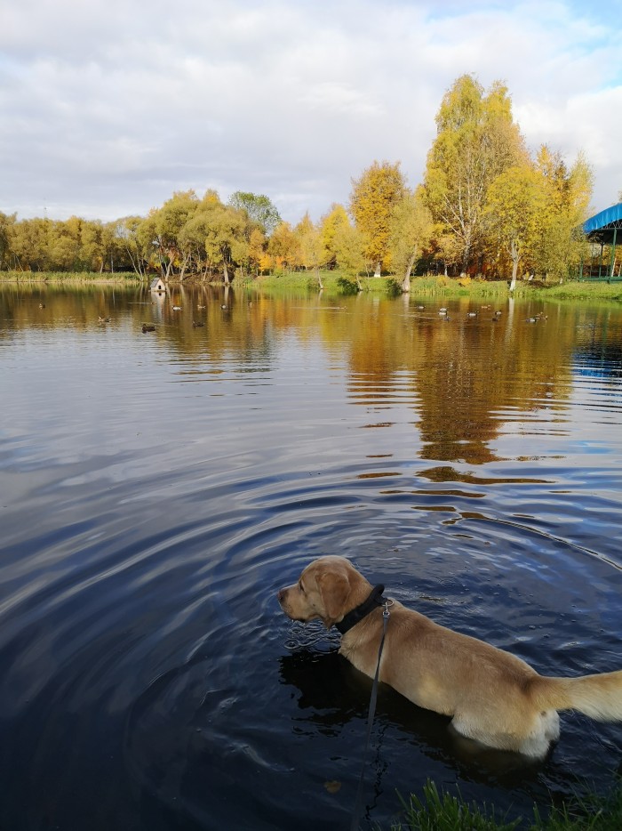Сам себе фотограф